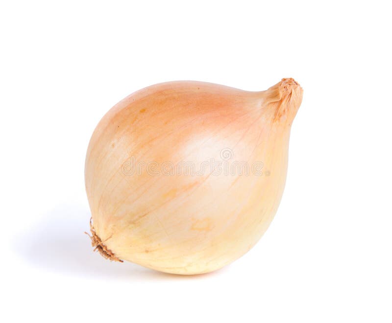Raw onion stock photo. Image of flavoring, ingredient 32777872