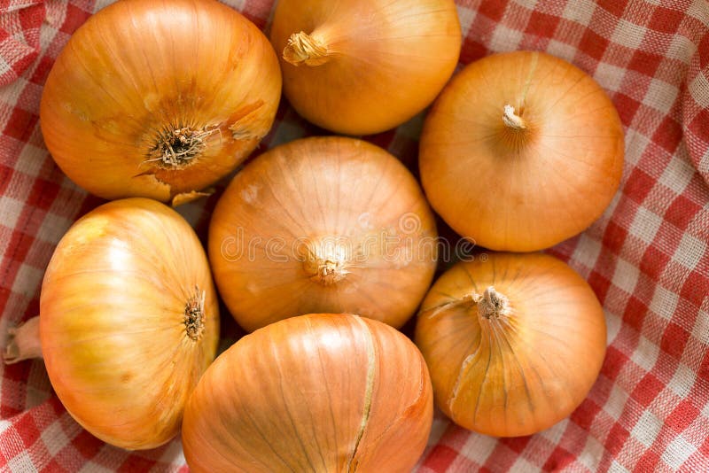 Raw onions stock image. Image of ripe, group, root, unpeeled 61185913
