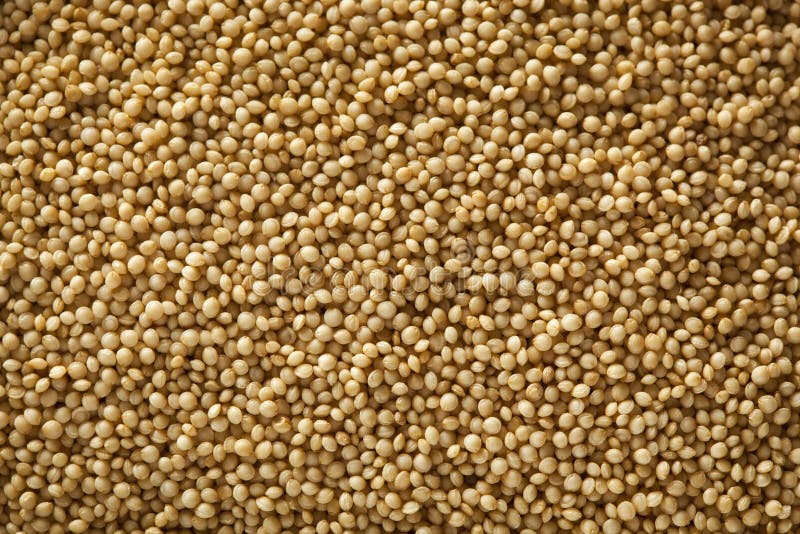 Raw Organic Amaranth Grain stock image. Image of grain 40497441