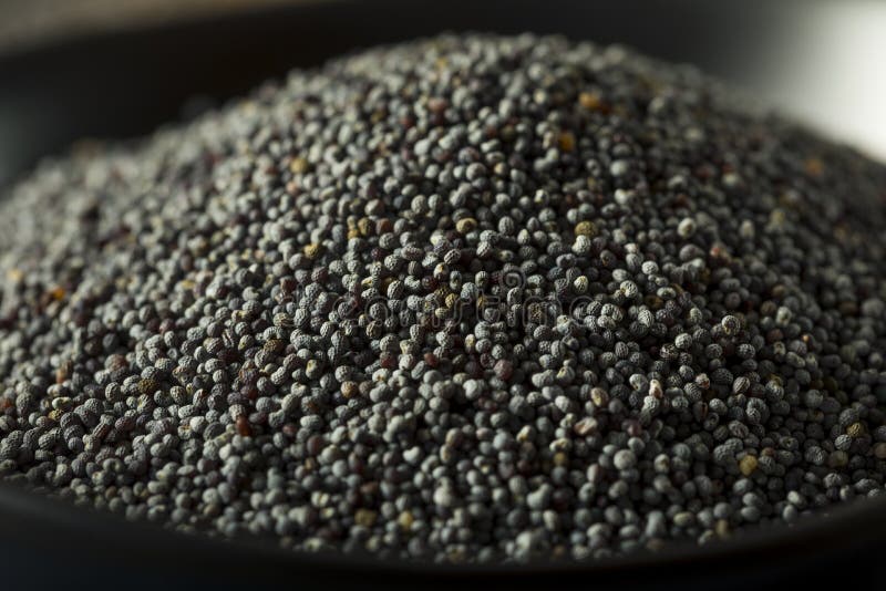 Raw Organic Poppy Seeds stock photo. Image of poppyseed 241044760