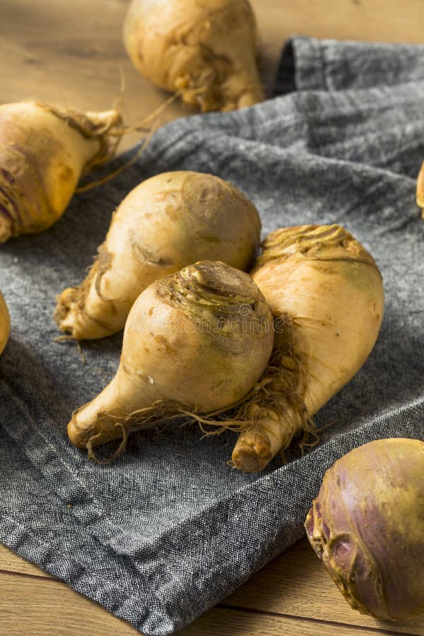 Raw Organic Brown Rutabaga Root Stock Photo Image of stalk, organic
