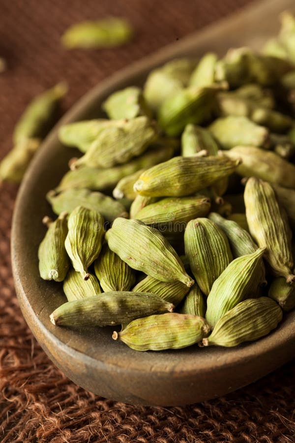 Raw Organic Cardamom Pods stock photo. Image of nature 66537682
