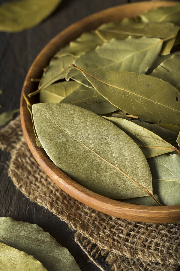 Raw Organic Dry Bay Leaves stock photo. Image of color 84071752