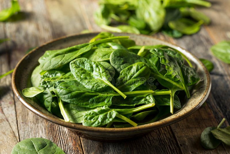 Raw Organic Fresh Baby Spinach Stock Image - Image of tasty, salad
