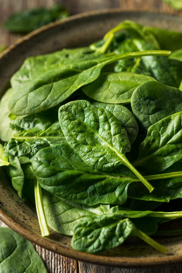 Raw Organic Fresh Baby Spinach Stock Photo - Image of plant, natural