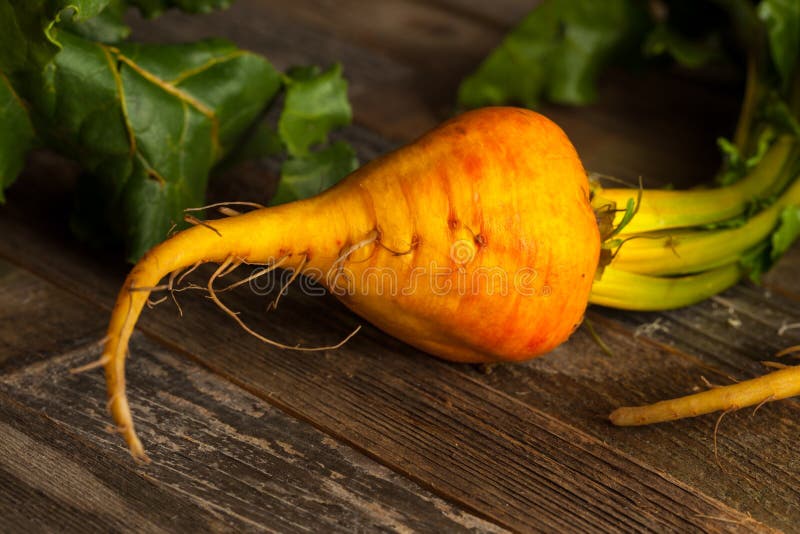 Raw Organic Golden Beets stock image. Image of health 67718689