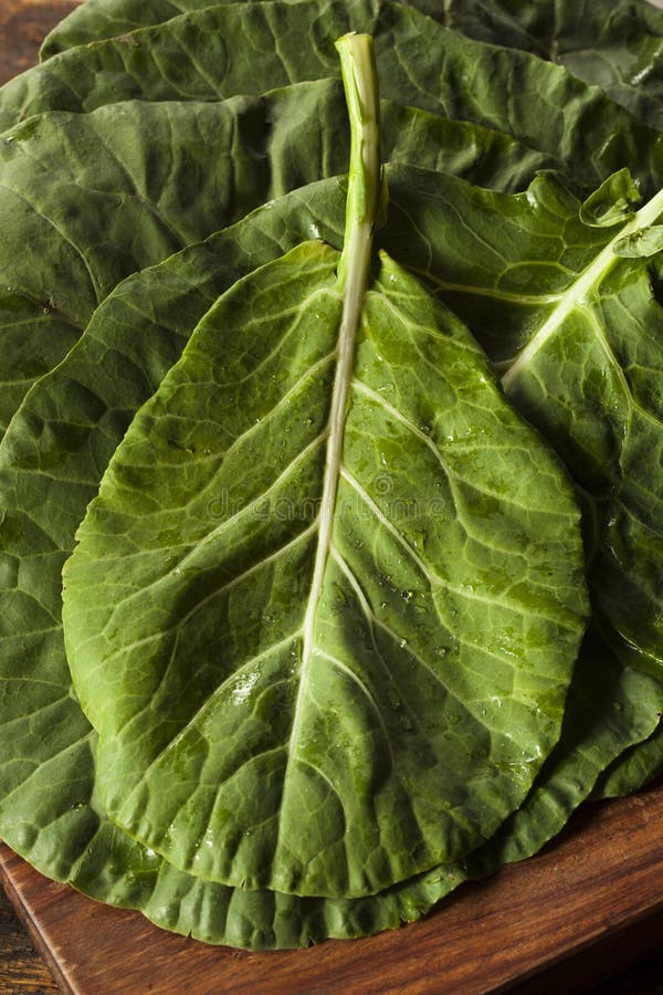 Fresh mustard greens stock photo. Image of food, natural 2263792