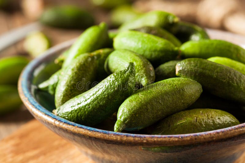 Raw Organic Green Finger Limes Stock Image Image of healthy, gourmet