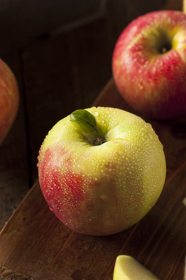 Raw Organic Honeycrisp Apples Stock Photo by ©bhofack2 122917952