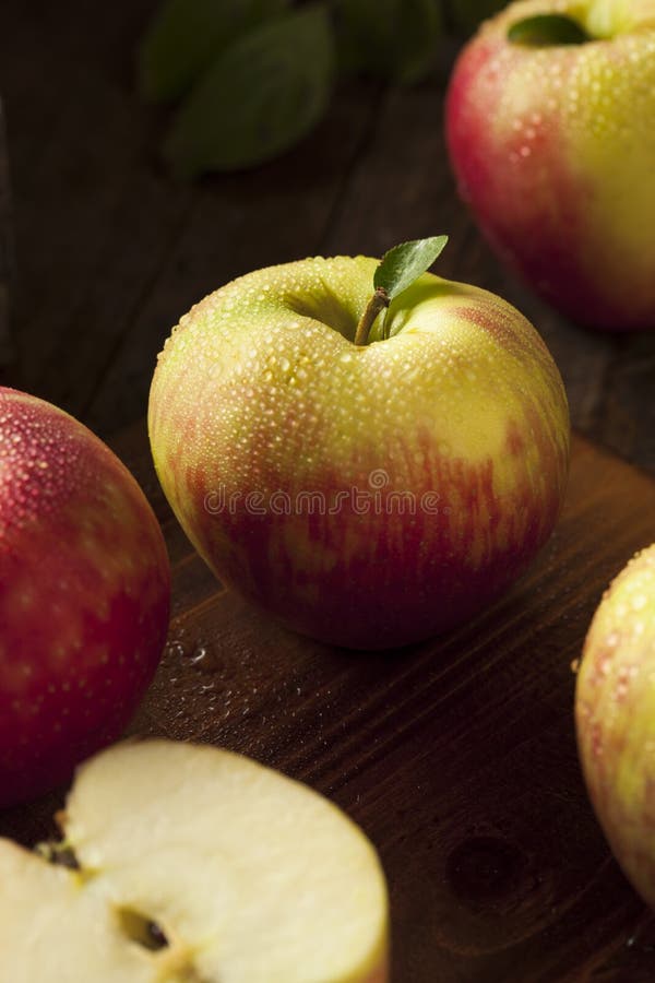 Raw Organic Honeycrisp Apples Stock Photo Image of food, natural 77014658