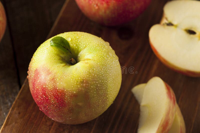 Organic Honeycrisp Apple