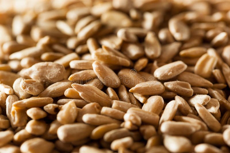 Raw Organic Hulled Sunflower Seeds Stock Photo Image of roasted