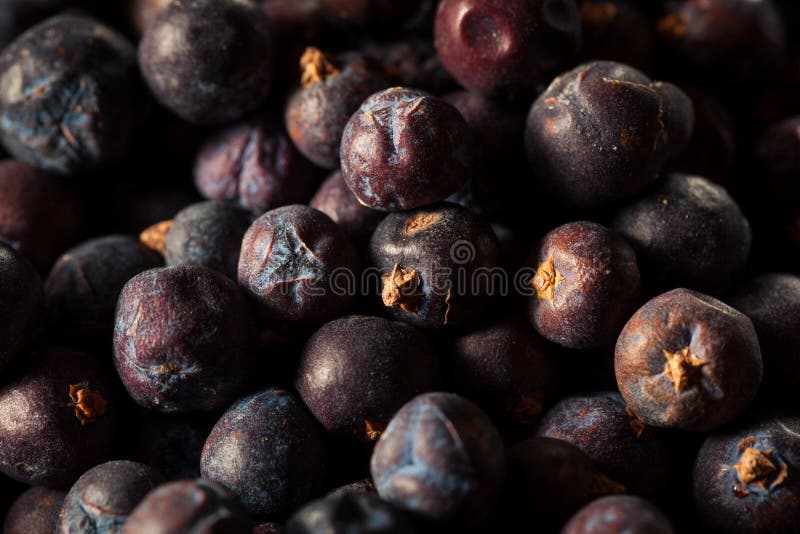 Raw Organic Juniper Berries