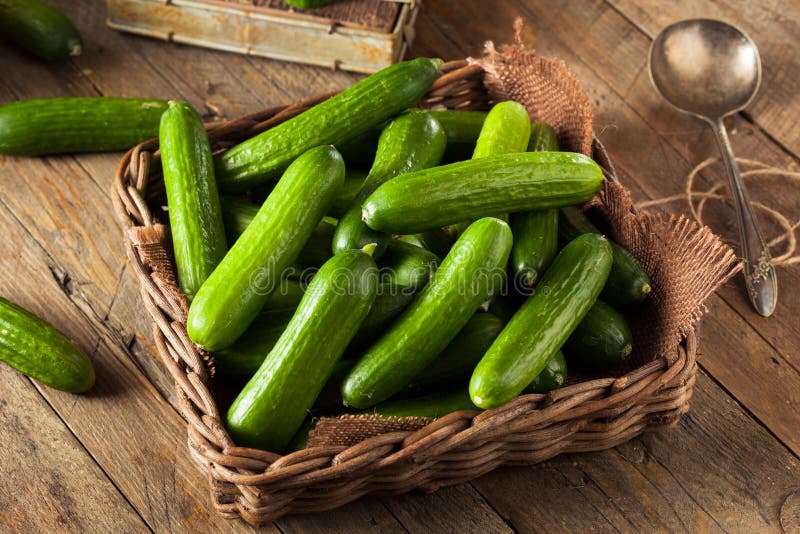 293,161 Organic Cucumber Stock Photos - Free & Royalty-Free Stock Photos  from Dreamstime