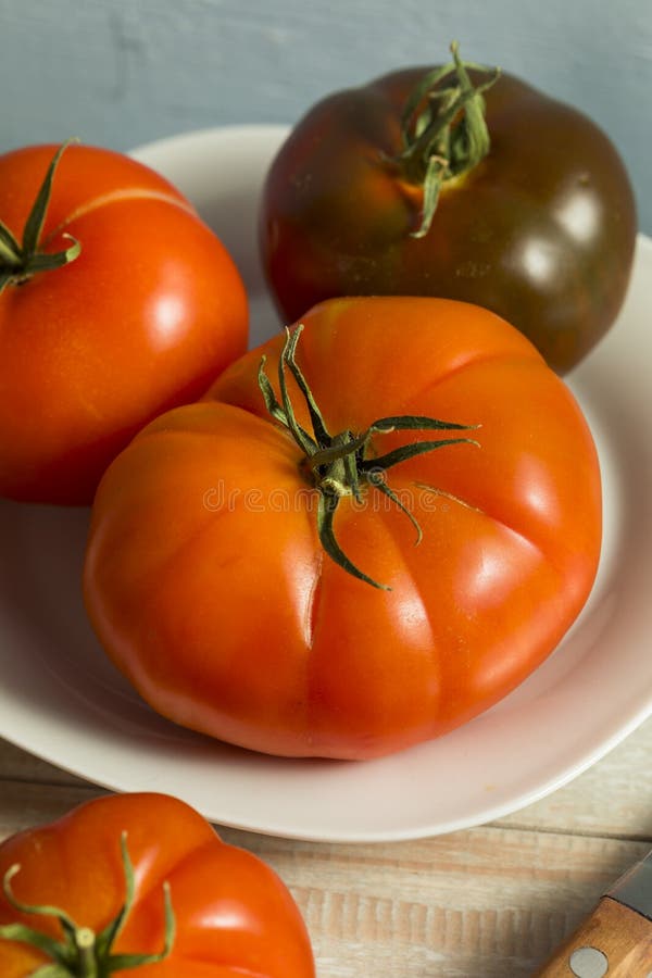 Raw Organic Red Heirloom Tomatoes Stock Image Image of garden, bright 98645441