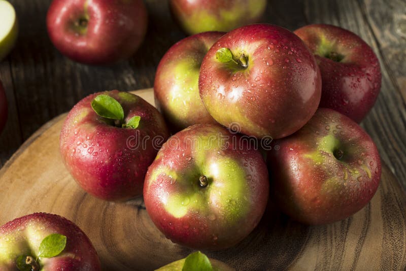 Raw Organic Red Mcintosh Apples