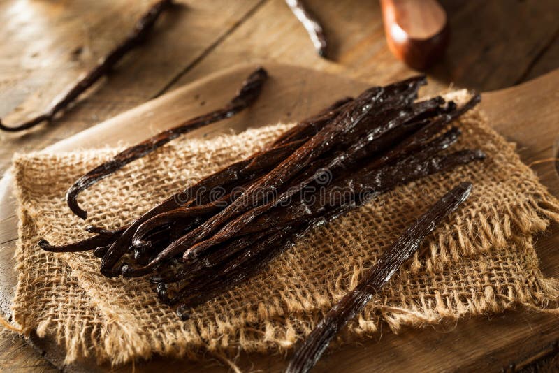 Raw Organic Vanilla Beans stock image. Image of healthy 54615101