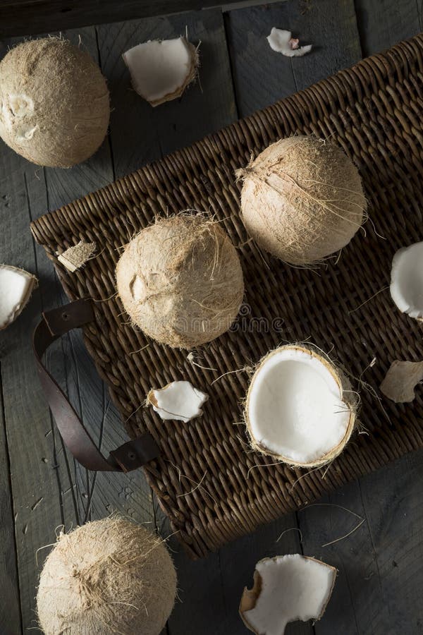 Raw Organic White Coconuts stock photo. Image of hairy 97808866