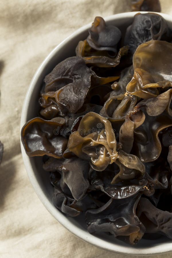 Raw Organic Wood Ear Mushrooms Stock Photo Image of gourmet, cooking