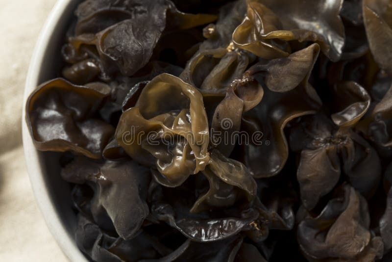 Raw Organic Wood Ear Mushrooms Stock Photo Image of black, mushrooms