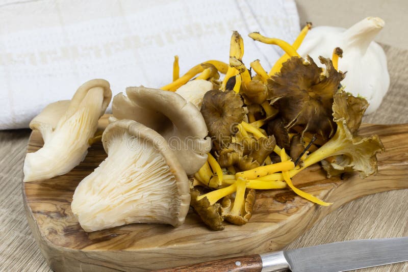 Raw oyster mushrooms stock image. Image of vegetarian 167703607