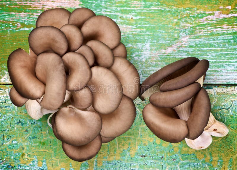 Raw Oyster Mushrooms