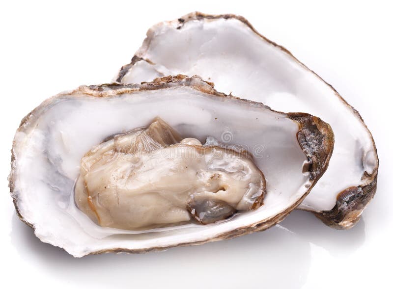 Raw oyster. stock photo. Image of cuisine, expensive 49458366