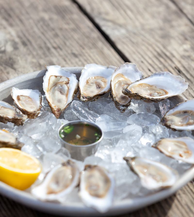 Raw oysters stock photography