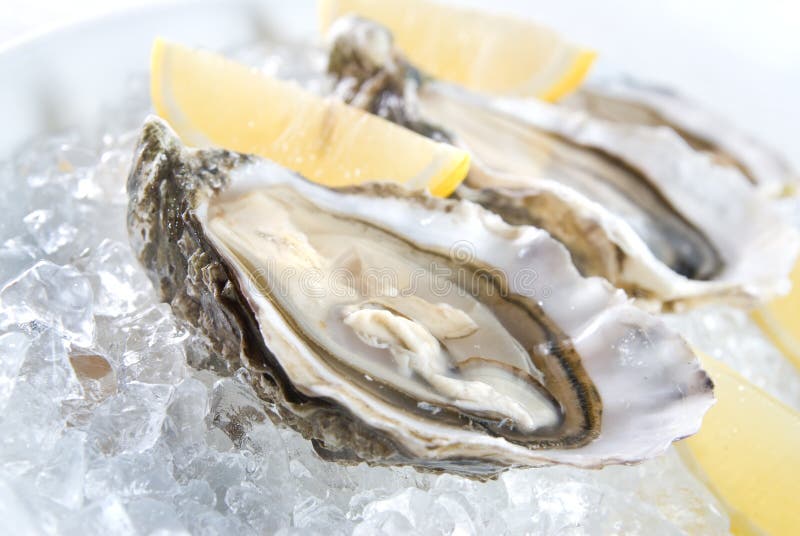 Raw oysters with lemon stock photo