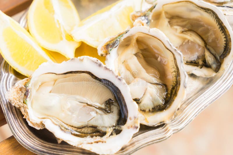 Raw oysters shells stock photo. Image of bivalve, edible 83080534