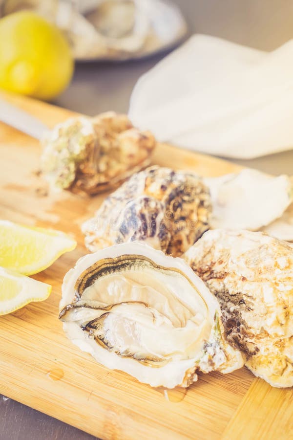 Raw oysters shells stock image. Image of edible, expensive 84592185