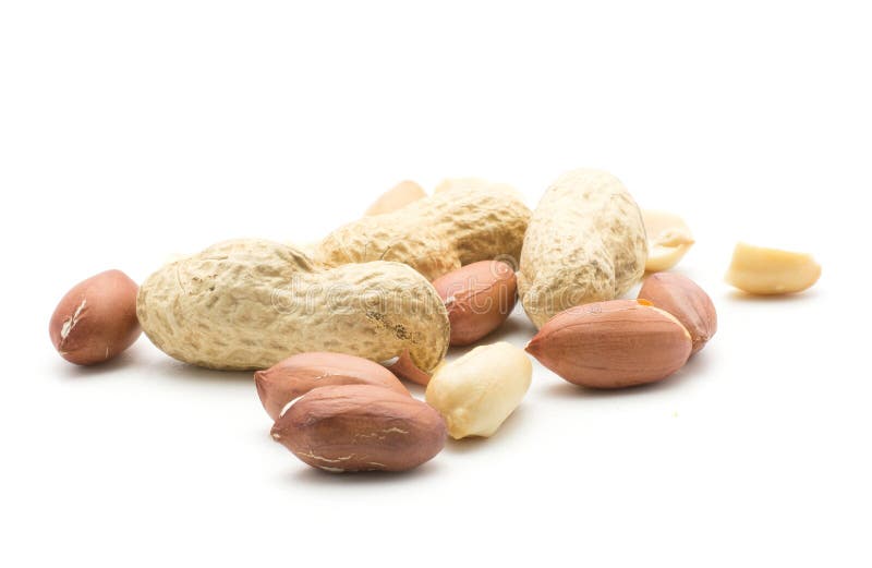 Raw Peanut Isolated on White Stock Image Image of grain, common
