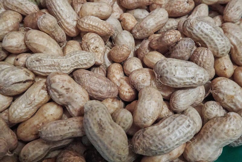 Raw Peanuts Ready for Roasting or Boiling Stock Photo Image of peel