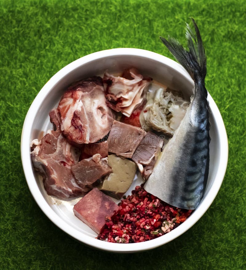 Dog food with raw meat and fish