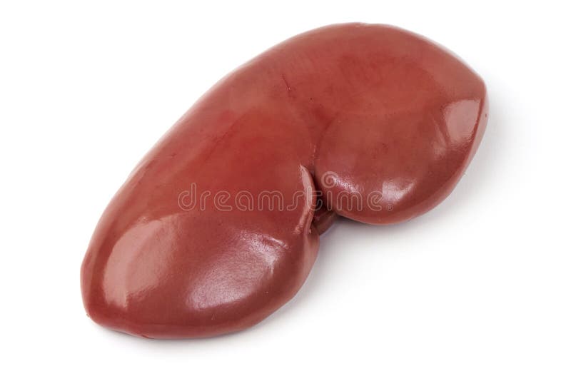 Pork Kidney Raw Isolated on White Background. Closeup. Pig Kidney