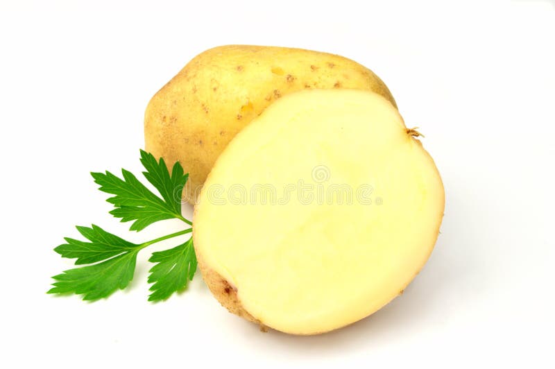 Raw potato on a white background