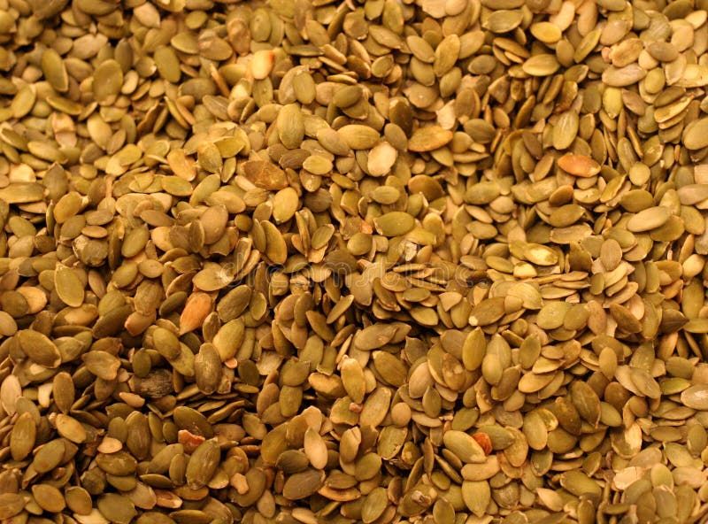 Raw Pumpkin Seeds stock photo. Image of pumpkin, food 3296636
