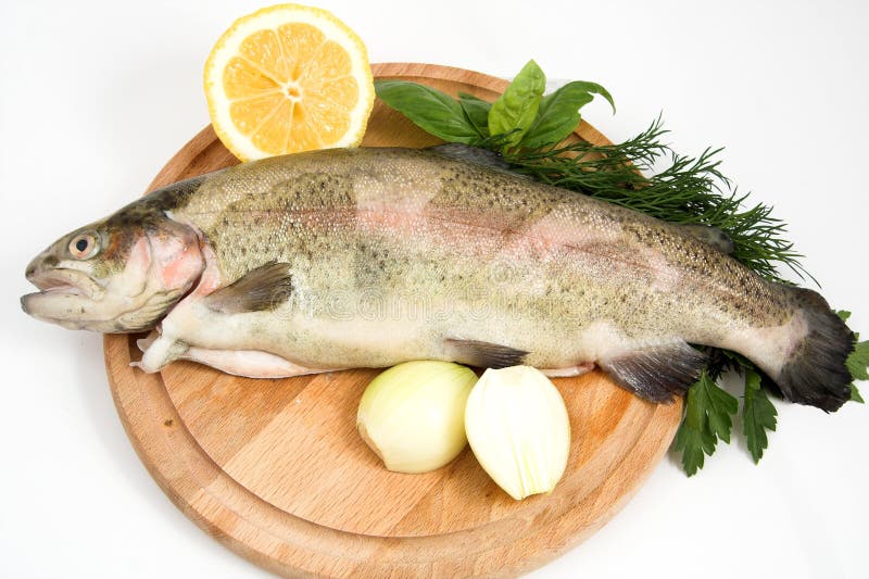 Rainbow trout stock photo. Image of eating, head, lemon 2087188