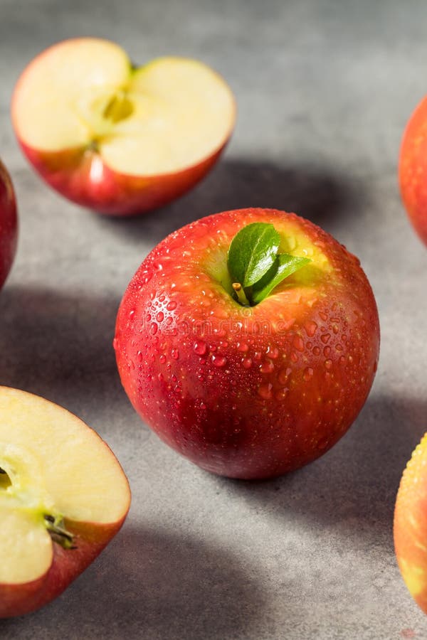Raw Red Organic Cosmic Crisp Apples Stock Photo Image of freshness