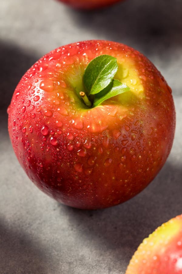 Raw Red Organic Cosmic Crisp Apples Stock Image Image of health