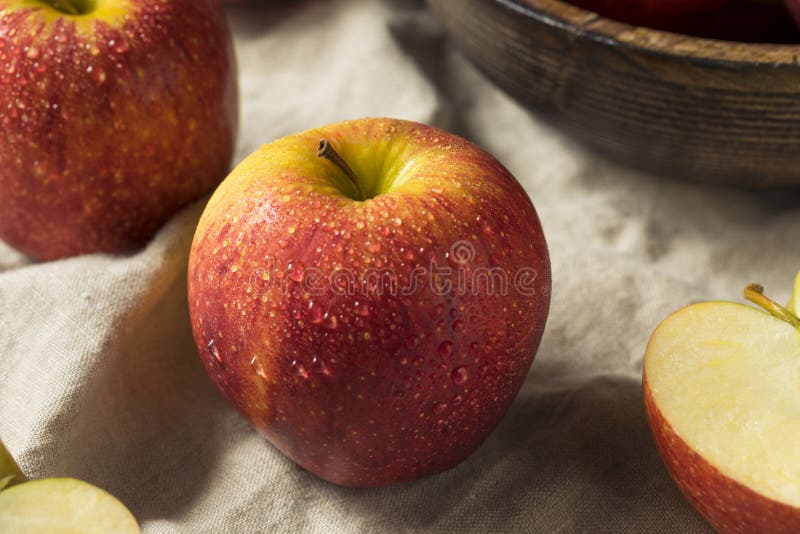 Raw Red Organic Envy Apples Stock Image - Image of delicious, snack:  129301291