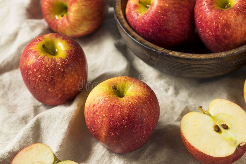 Raw Red Organic Envy Apples Stock Image - Image of delicious, snack:  129301291