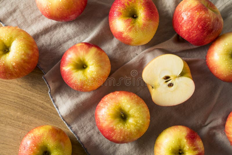 Raw Organic Honeycrisp Apples Stock Photo by ©bhofack2 122917952