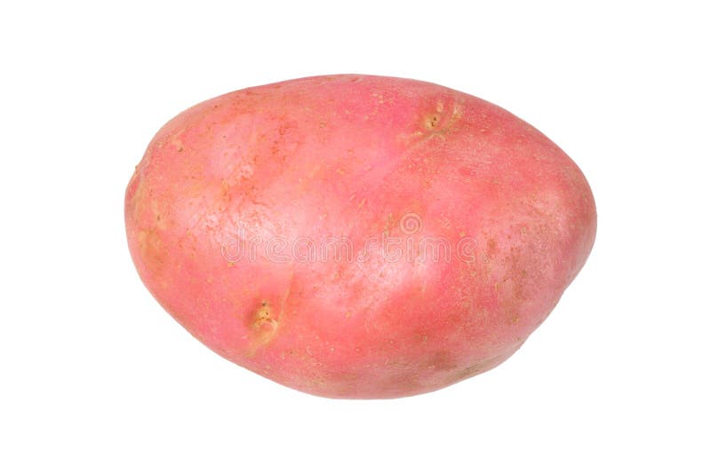 Raw red potato isolated on white background