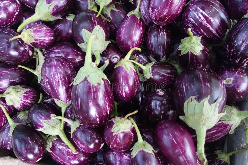 Raw ripe eggplant stock photo. Image of color, eggplant 156912192