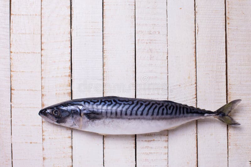 Raw sardine fish stock image. Image of ingredient, flavor 49858209