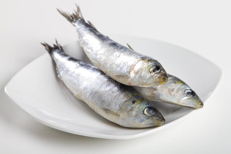 Raw sardines