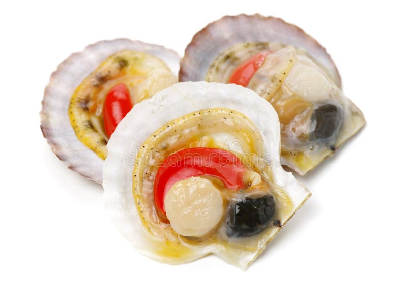 Raw scallop stock image. Image of healthy, open, focus 142949069