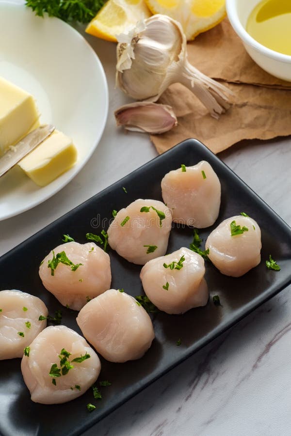 Raw Scallops Ingredients Cooking Stock Image Image of garlic, gourmet