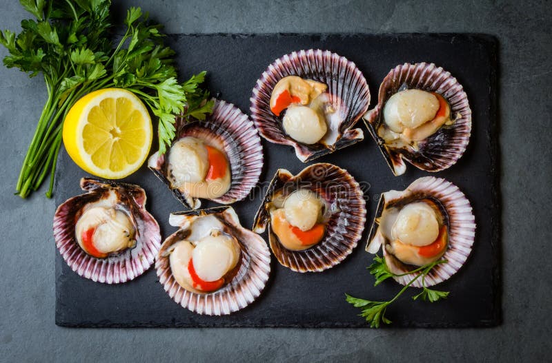 Raw Scallops with Lemon, Cilantro on Slate Plate, White Wine Stock